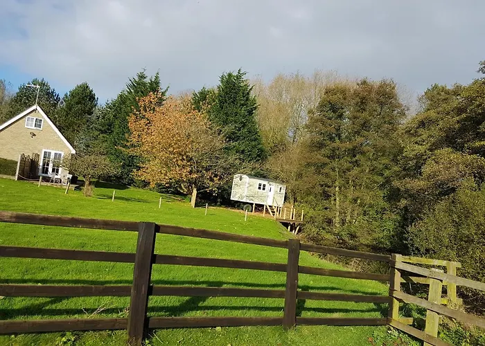 Waterside Shepherds Hut